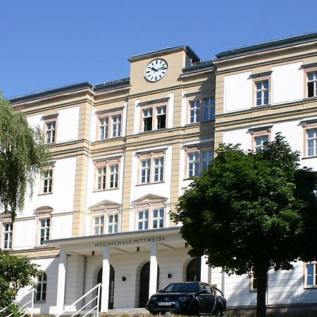 Apartment Tenx Mittweida Buitenkant foto